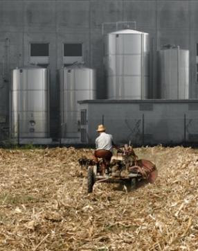 Foto:  L. Girardini, Lavorando verso il futuro, 2009